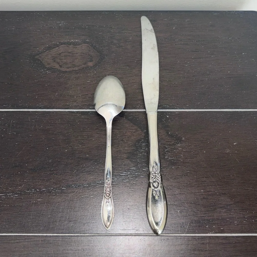 Oneida Community Stainless‎ | Morning Rose | Knife and Teaspoon | Set of 2